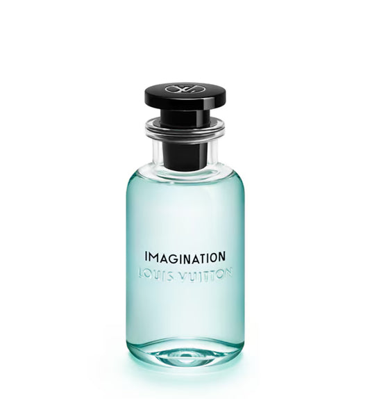 Imagination
